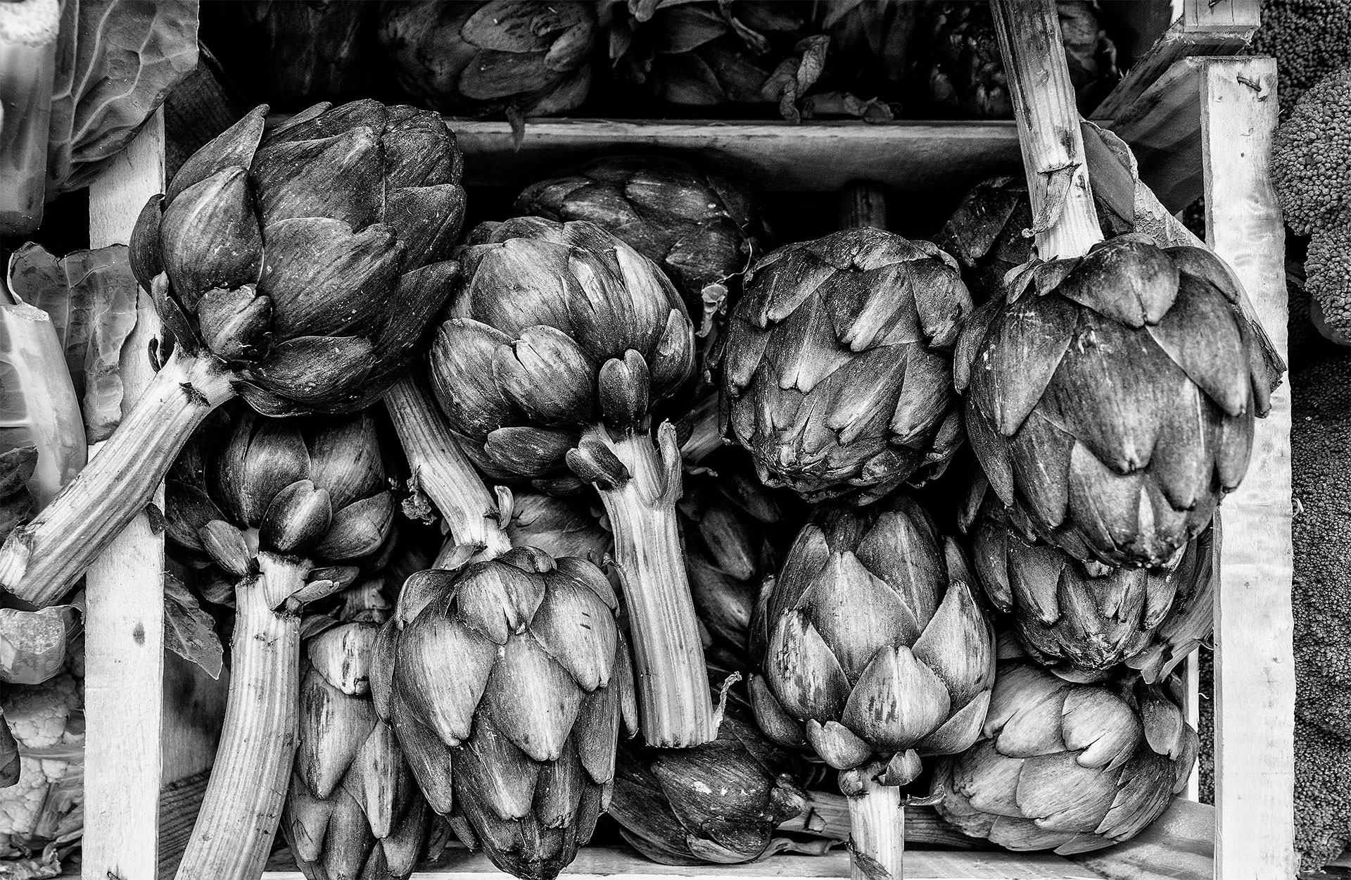 Carciofi Biologici (5Kg)